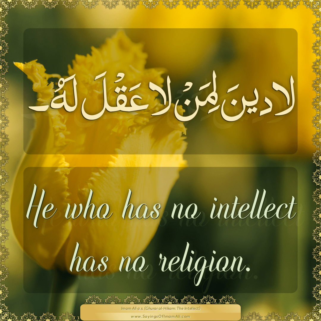 He who has no intellect has no religion.